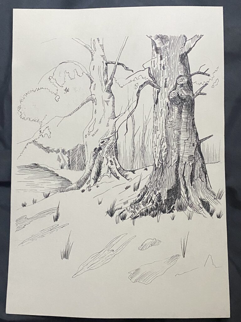 Ảnh của Đỗ Tâm Anh – 2025-10-08 21:19:24