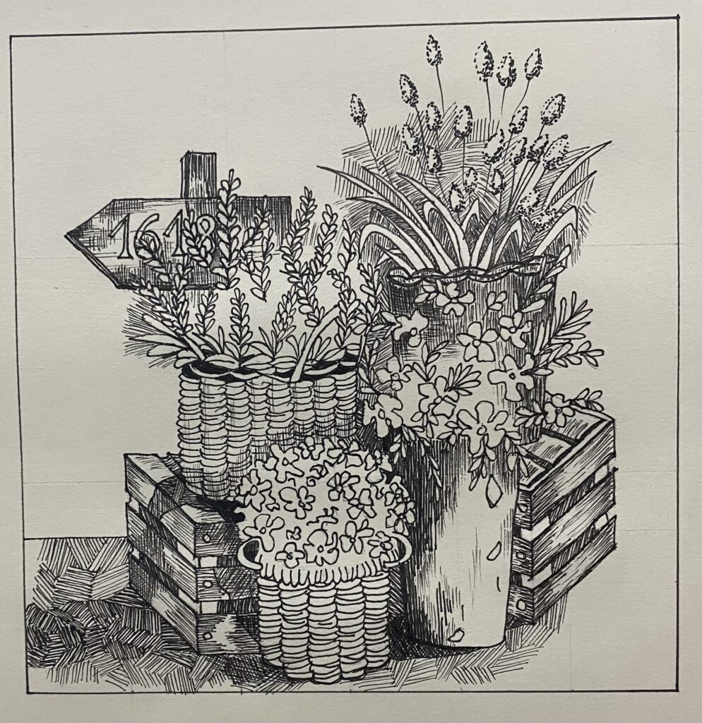 Ảnh của Nguyễn Thị Thuỷ – 2025-10-04 17:53:17