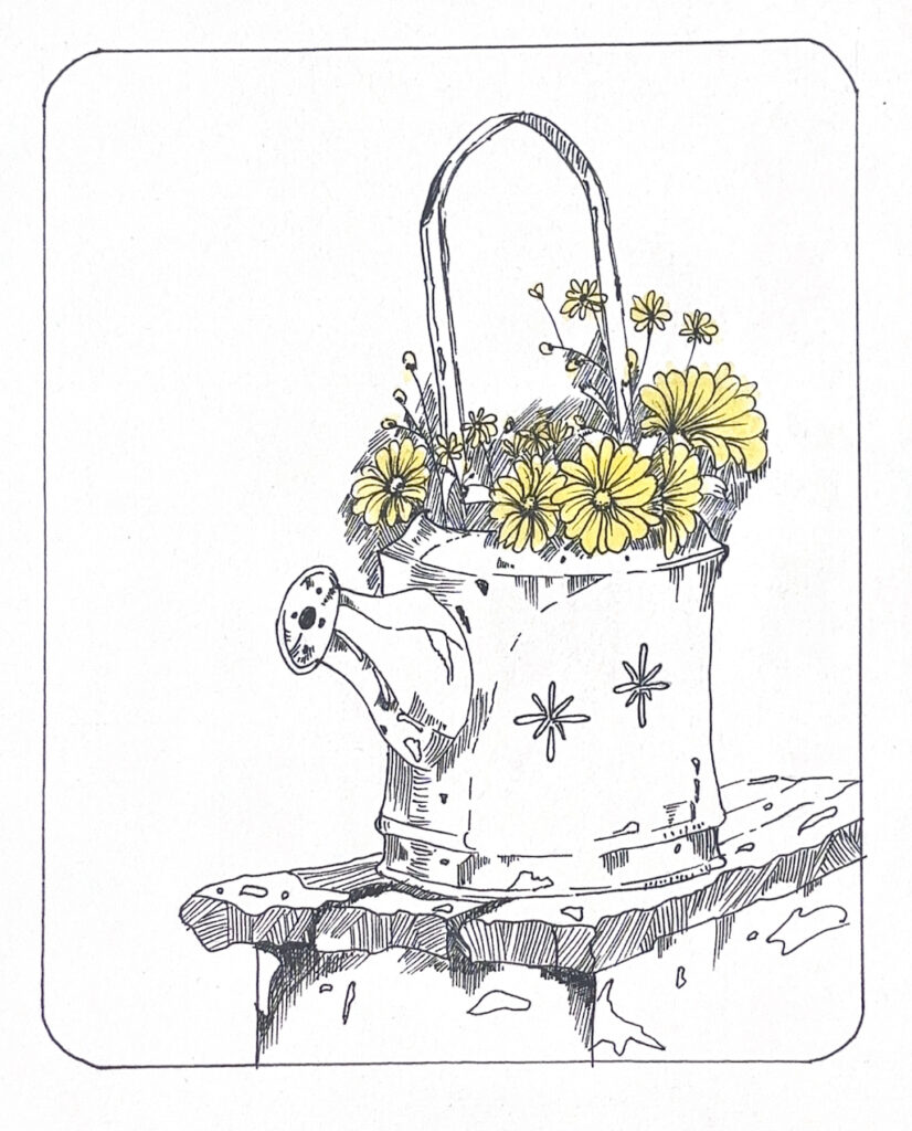 Ảnh của Phan Thị Thu Hà – 2025-11-14 23:13:39