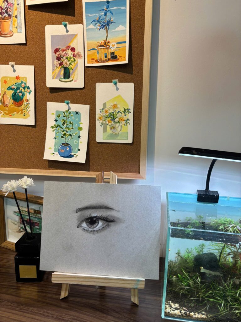 Ảnh của Phan Thị Thu Hà – 2025-11-14 23:12:17