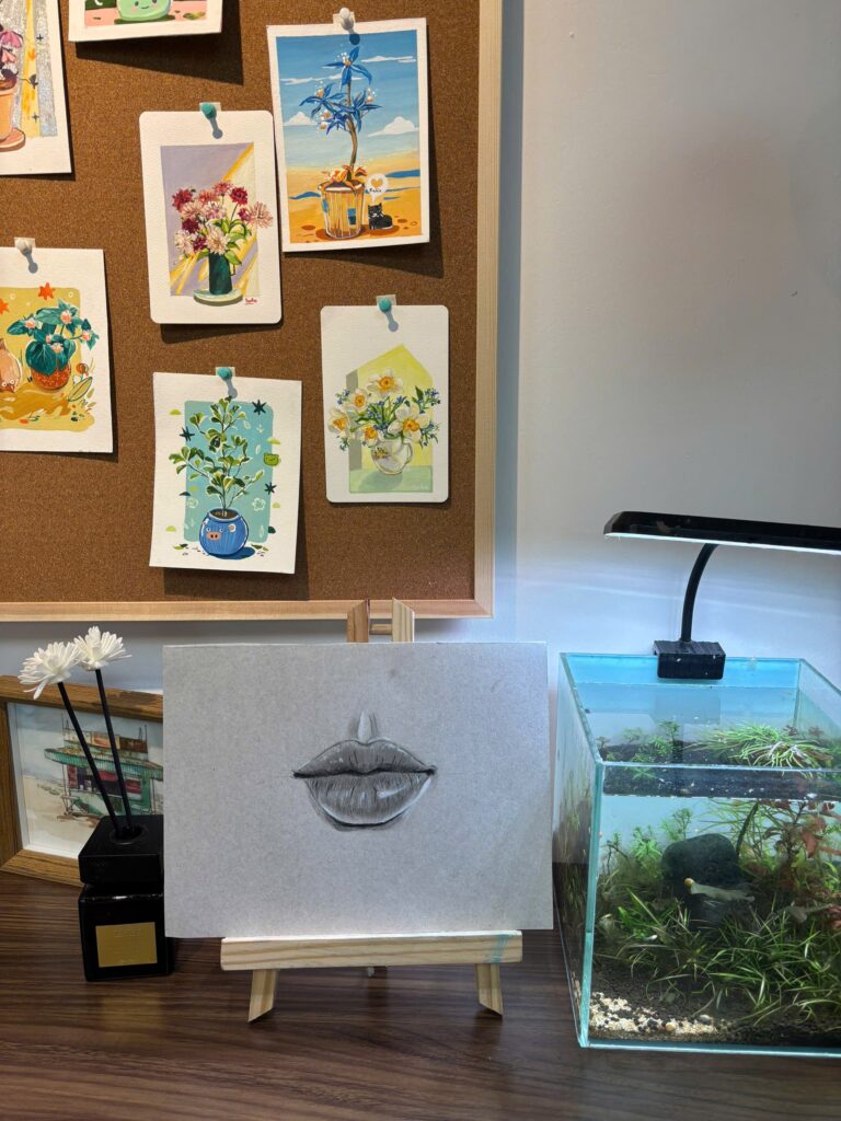 Ảnh của Phan Thị Thu Hà – 2025-11-01 17:08:59